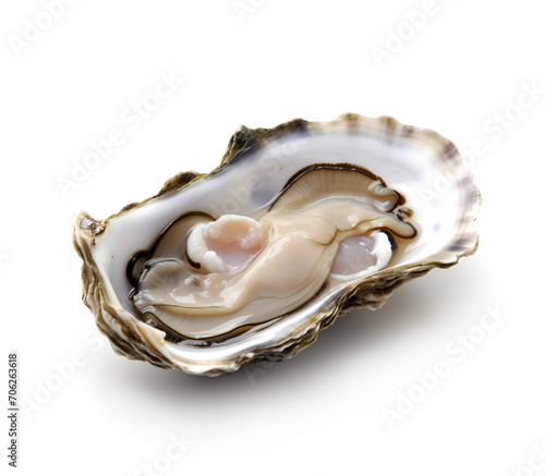 Single oyster closeup on white backgrounds.