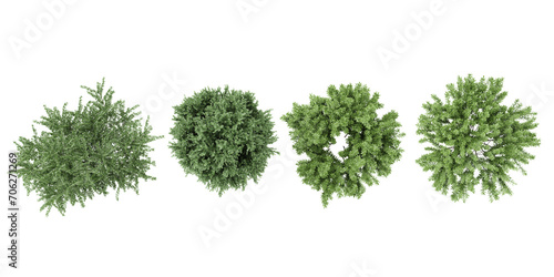Fototapeta Naklejka Na Ścianę i Meble -  Cypress,Barberry Bush,Rosemary trees shape top view cut out transparent backgrounds 3d rendering