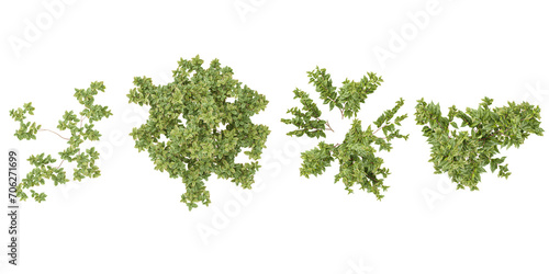 Set of White dogwood,Apple trees and shrubs, 3D rendering. top view, plan view, for illustration, architecture presentation, visualization, digital composition © Saifstock