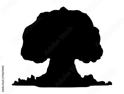 Bomb Explosion silhouette vector art white background