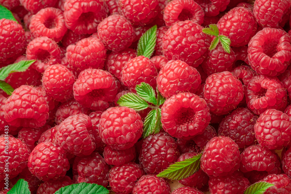 Fresh red ripe raspberries. Raspberries background. Fresh red ripe raspberries. Raspberries background.
