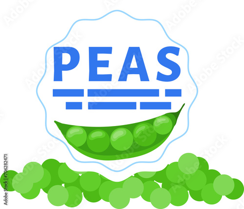 Fresh green peas in a pod with pea grains lying around. Organic legume, healthy food concept. Nutritious vegetarian ingredient vector illustration.