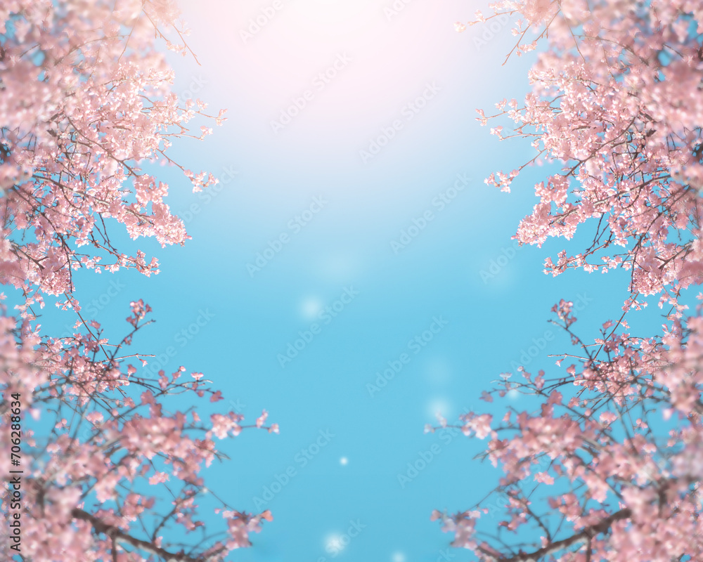 Flower and light; background or texture; spring concept Flower and light; background or texture; spring concept