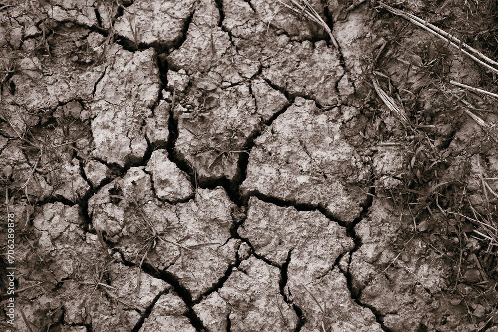 The Land is Dry and Cracked from Drought, the summer season. The Land is Dry and Cracked from Drought, the summer season.