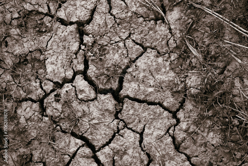 The Land is Dry and Cracked from Drought, the summer season.