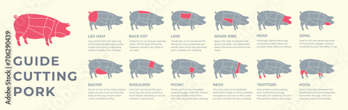 Guide cutting meat carcass turkey, pork, lamb, cow, chicken. Butcher guide. Diagrams сutting parts meat carcass domestic farm poultry and farm livestock. Vector flat color illustration isolated.