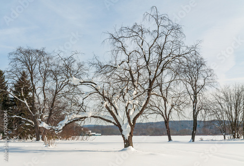 Landscape View of Trees in Sugar Grove, Pennsylvania © Zack Frank