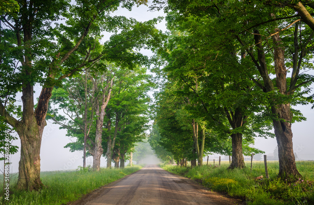 Rural Road in Sugar Grove, Pennsylvania Rural Road in Sugar Grove, Pennsylvania