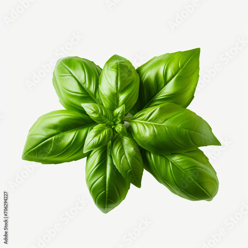 a bunch of basil leaves on a transparent backgroun created with Generative Ai