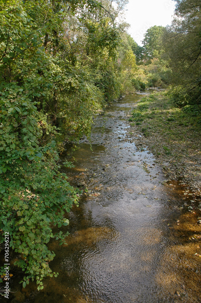 The Conewango Creek in Sugar Grove, Pennsylvania, USA The Conewango Creek in Sugar Grove, Pennsylvania, USA