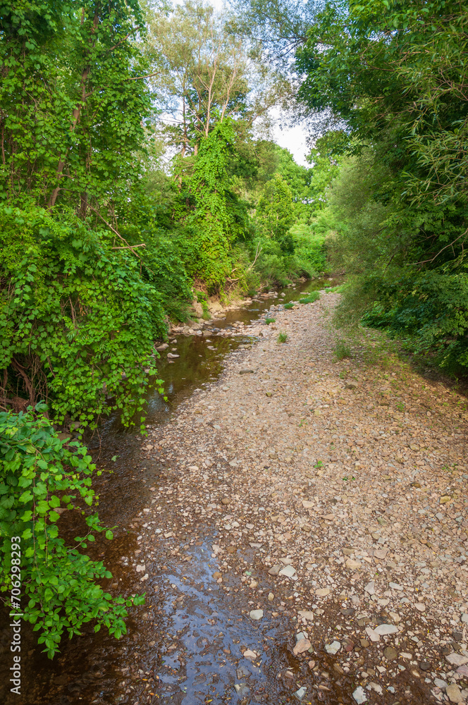 The Conewango Creek in Sugar Grove, Pennsylvania, USA