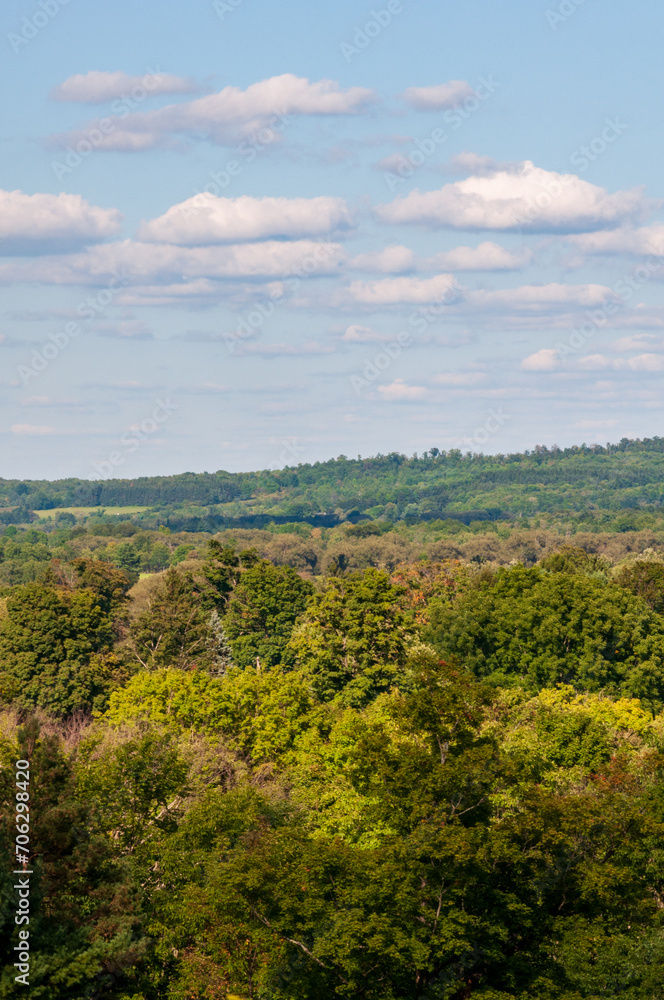 Forest Overlook at Sugar Grove, Pennsylvania