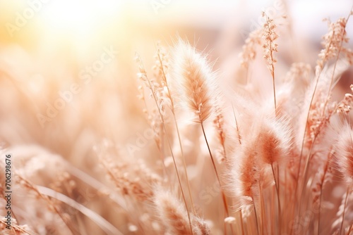 Abstract natural background with fluffy stems of tall grass on a bokeh background. Dry soft grass. Generated by artificial intelligence