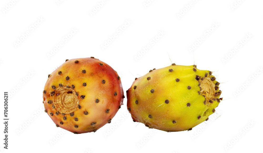 Two cactus figs aka Opuntia Ficus Indica fruit, laying on flat surface. Isolated cutout on a transparent background. Two cactus figs aka Opuntia Ficus Indica fruit, laying on flat surface. Isolated cutout on a transparent background.
