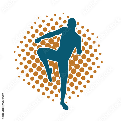 Silhouette of a man in oriental martial art pose. Silhouette of a male in martial art move.
