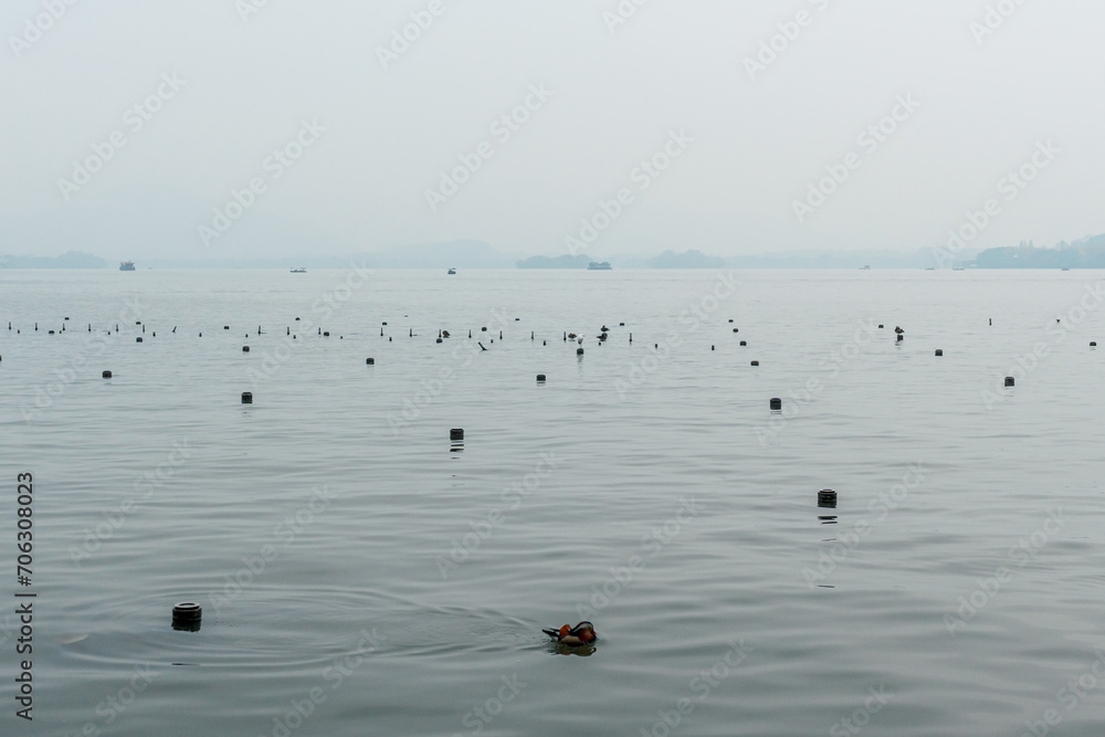 the west lake the west lake