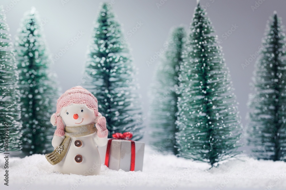 Snowman with gift in forest