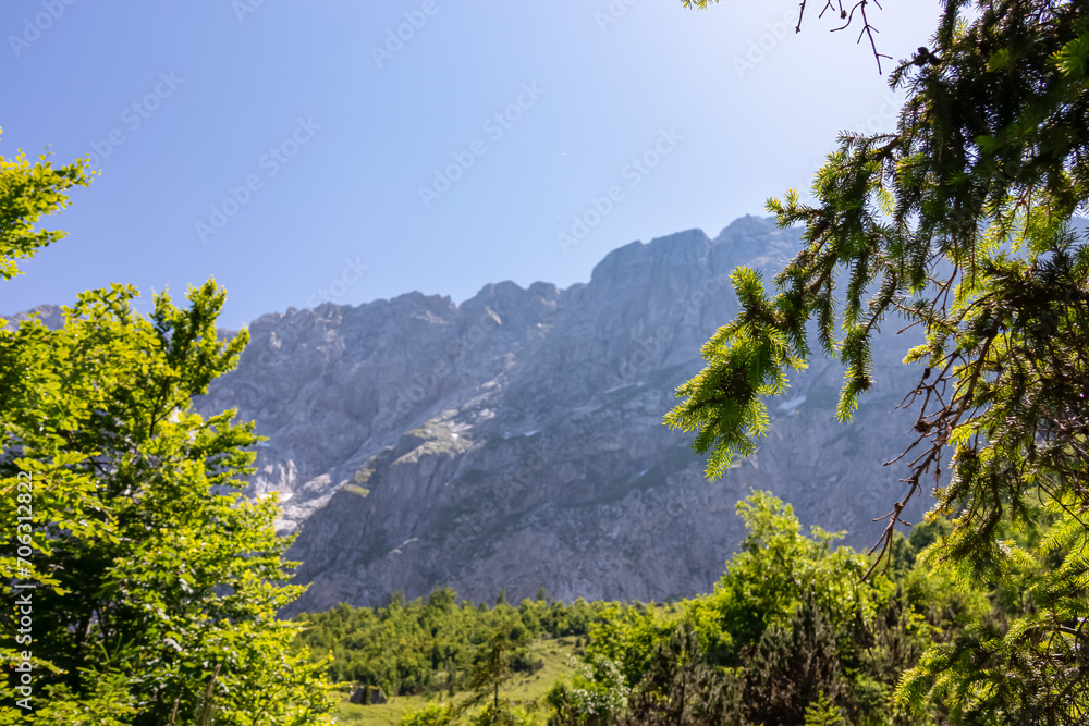 Scenic view through forest on majestic mountain peak Mangart (Mangrt) in Julian Alps near Tarviviso, Friuli Venezia Giulia, Italy, Europe. Panoramic hiking trail in Italian Alps on blue sky summer day