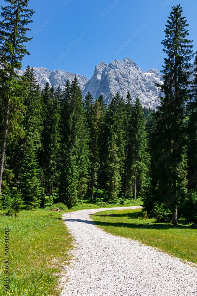 Fototapeta premium Panoramic hiking trail in idyllic forest looking at massive mountain ridges of Julian Alps in summer. Italian Alps near Tarvisio, border Slovenia and Austria, Friuli Venezia Giulia, Italy, Europe