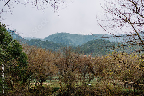 landscape with trees and clouds