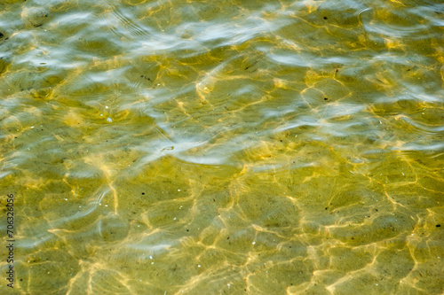 Olive color river water texture