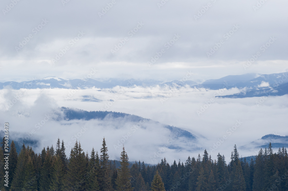A view of the mountains with snow-covered coniferous forests and an incoming fog.