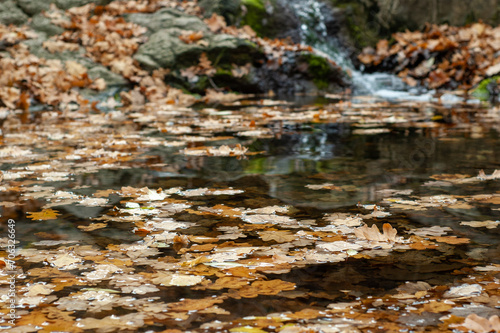 Autumn Elegance: Small Waterfall Amidst Fallen Oak Leaves and Rockscape