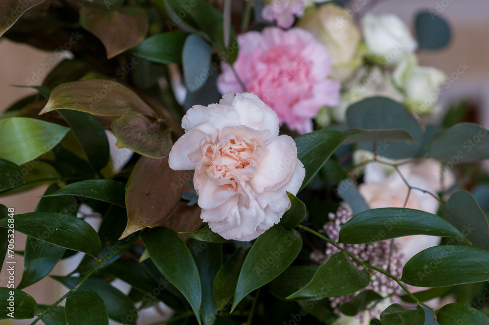 Fototapeta premium Beautiful pink carnations in a bouquet of flowers close up