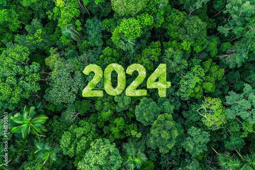 Aerial view of a green forest with the year 2024 photo
