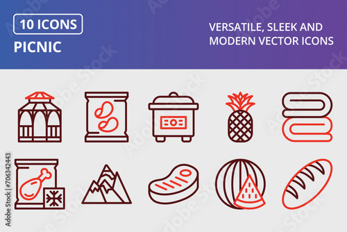 Picnic Thick Line Two Colors Icons Set