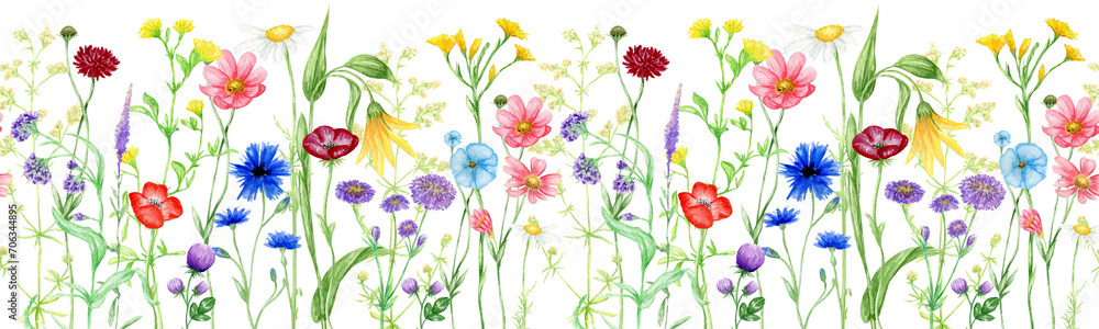 Watercolor Wildflowers Seamless border, summer meadow flowers hand painted Botanical illustration, png floral border isolated on transparent background
