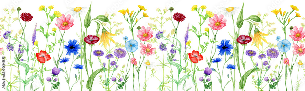 Fototapeta premium Watercolor Wildflowers Seamless border, summer meadow flowers hand painted Botanical illustration, png floral border isolated on transparent background 