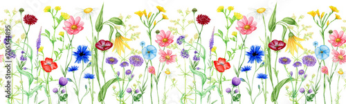 Watercolor Wildflowers Seamless border, summer meadow flowers hand painted Botanical illustration, png floral border isolated on transparent background  © Svetlana