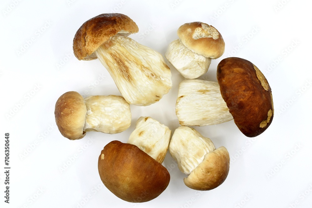 Cleaned edible Boletus mushrooms on white background Cleaned edible Boletus mushrooms on white background