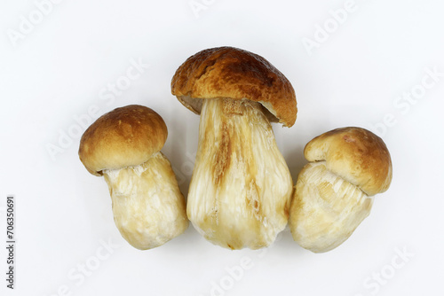 Cleaned edible Boletus mushrooms on white background