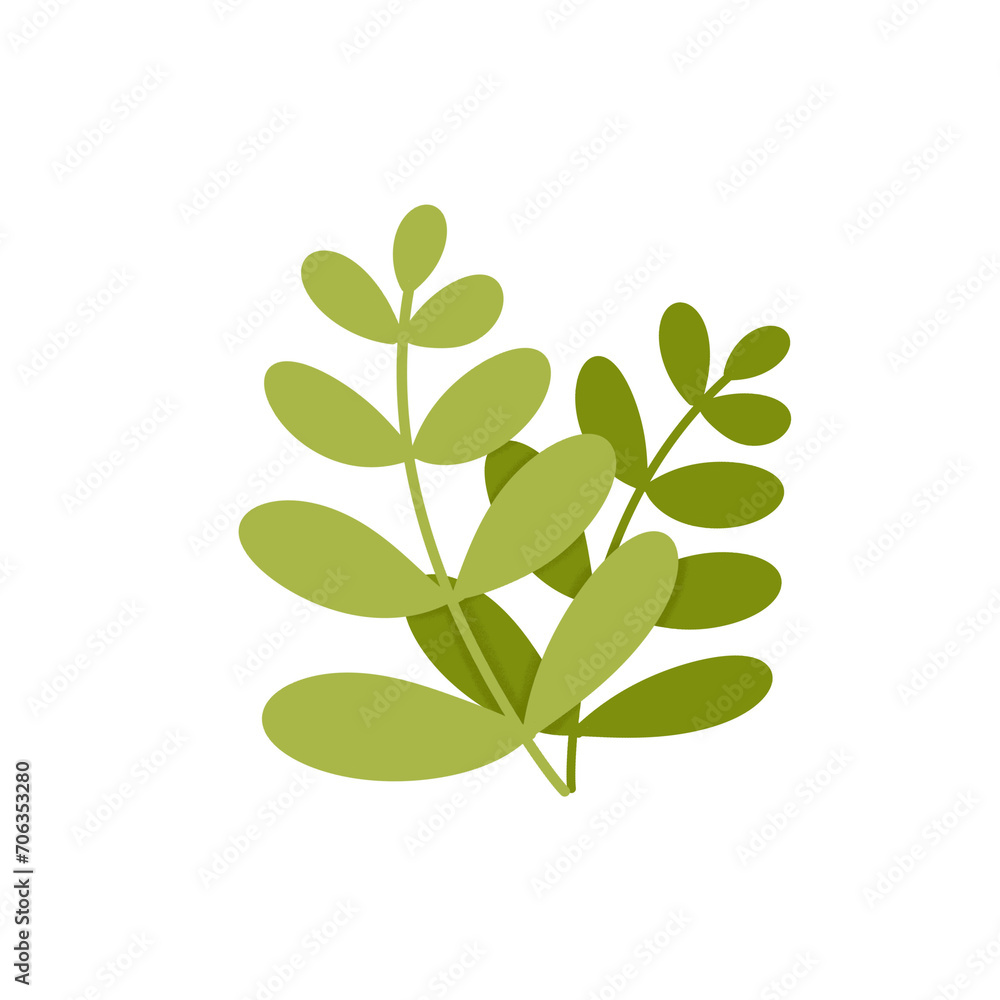 Obraz premium seaweed