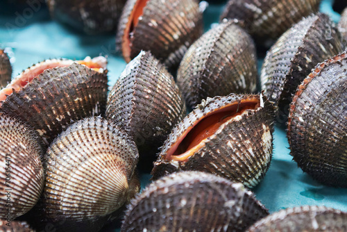 Close up fresh cockle shellfish
