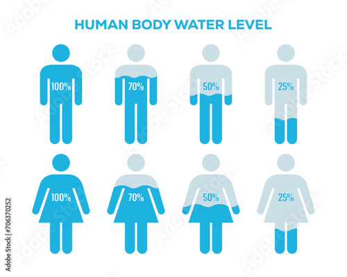 Male and Female body with water percentage illustration. Human body water level chart
