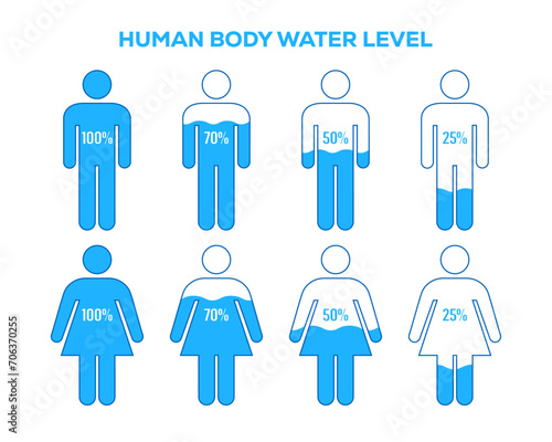 Human body and water level percentages illustration. Man and woman water level vector