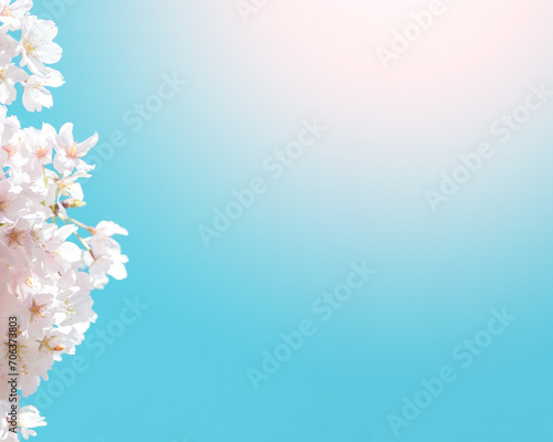 Flower and light; background or texture; spring concept