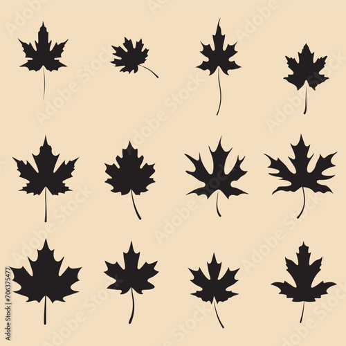 Maple set black silhouette vector