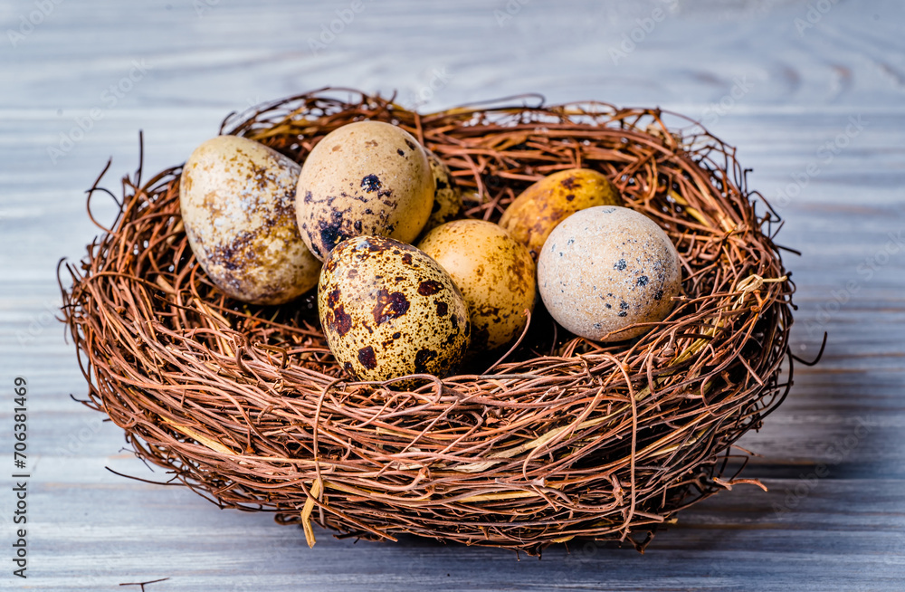 Obraz premium An enchanting tableau featuring four dainty quails snugly settled within the confines of a birds nest atop a weathered wooden table, evoking a sense of natural wonder.