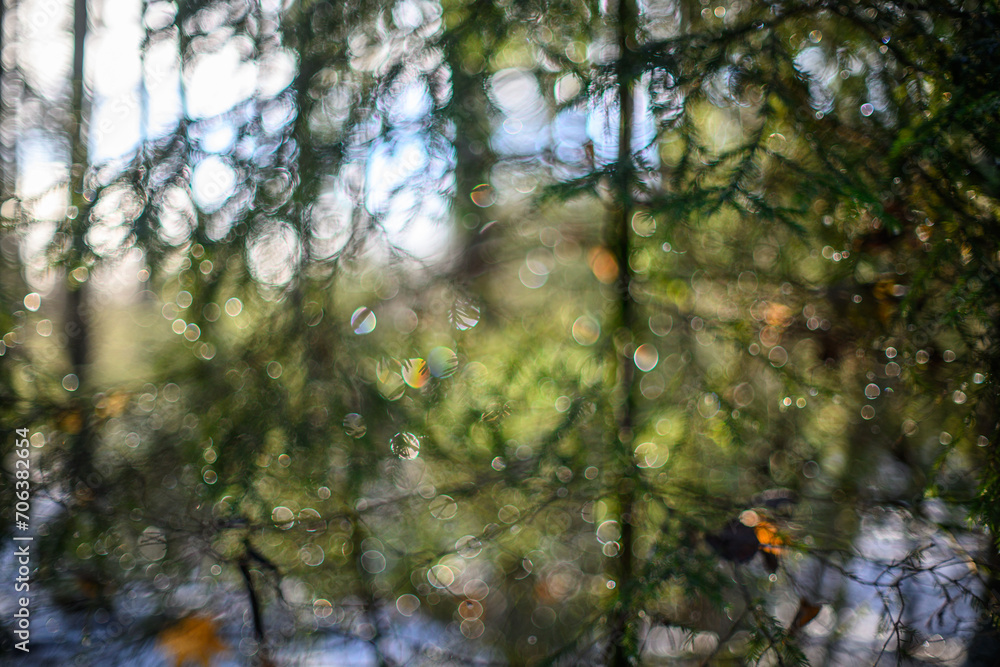 winter solstice blur background with bokeh rings winter solstice blur background with bokeh rings