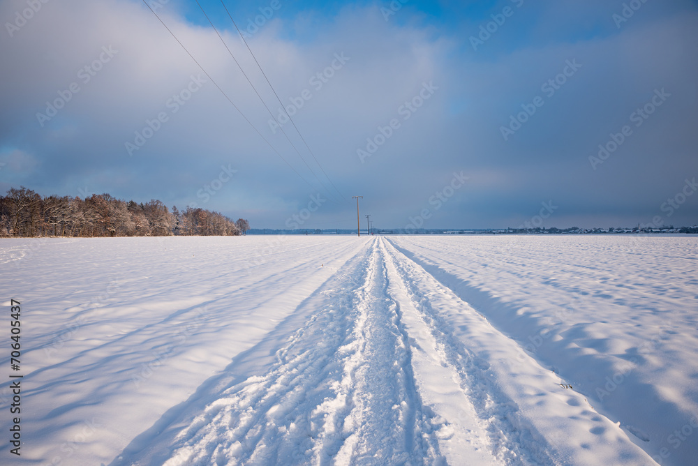 footpath in winter landscape along the power supply line