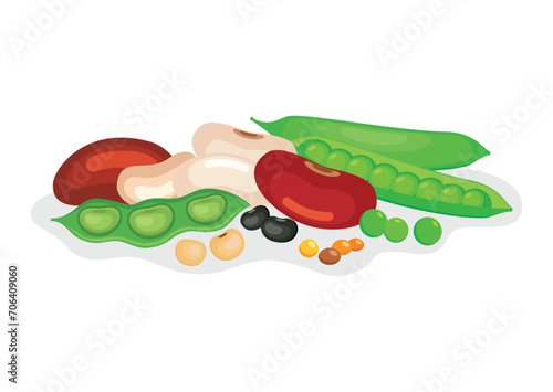 Pile of different dried beans and legumes vector illustration. Heap of beans and legumes icon vector isolated on a white background. Green pea, lentil, soybean, kidney bean drawing