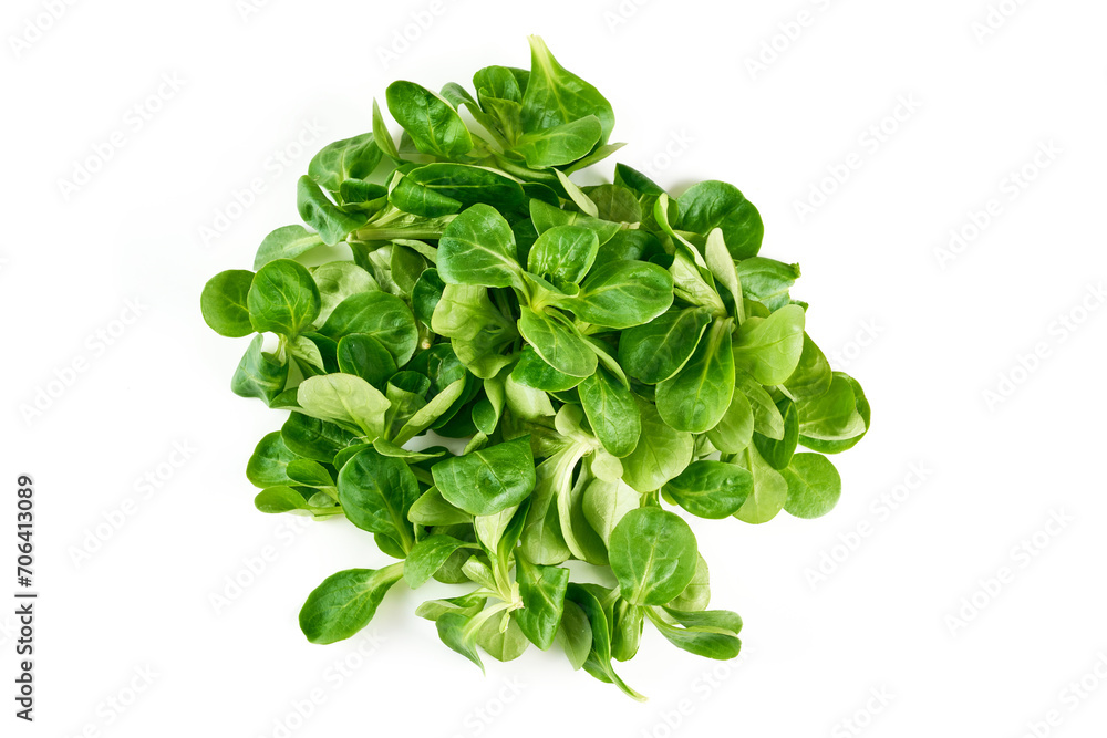 Lambs lettuce, corn salad, isolated on white background Lambs lettuce, corn salad, isolated on white background