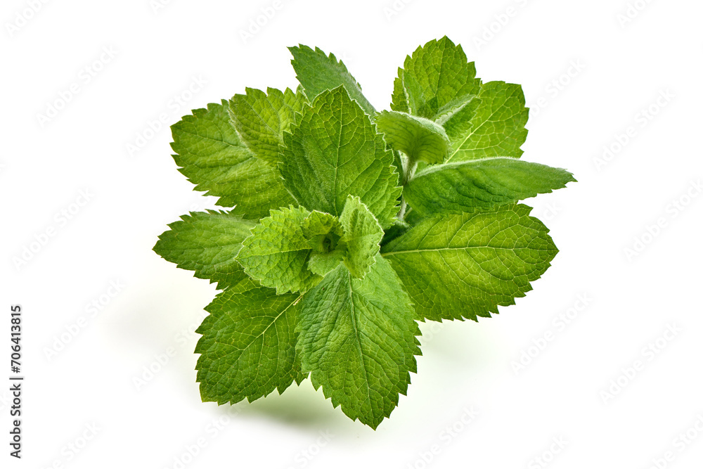 Fresh green mint, isolated on white background. High resolution image Fresh green mint, isolated on white background. High resolution image