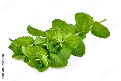 Fresh green mint, isolated on white background. High resolution image