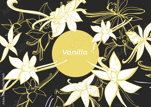  Isolated vector set of vanilla. Vanilla sticks, vanilla flower and pods. Aroma, food. Vector hand drawn illustration of orchid Flower and pods on a dark background.