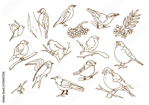 Isolated vector set with migratory and wintering birds on white background. Stork,c row, rook, swallow, nightingale, tit, bullfinch,siskin,goldfinch,nuthatch. The flight of birds to the southern edge.